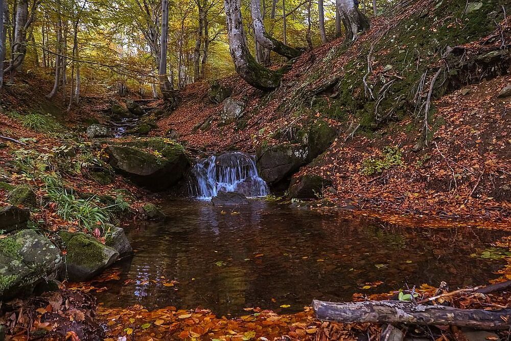 Осень в Карпатах.Боржава.