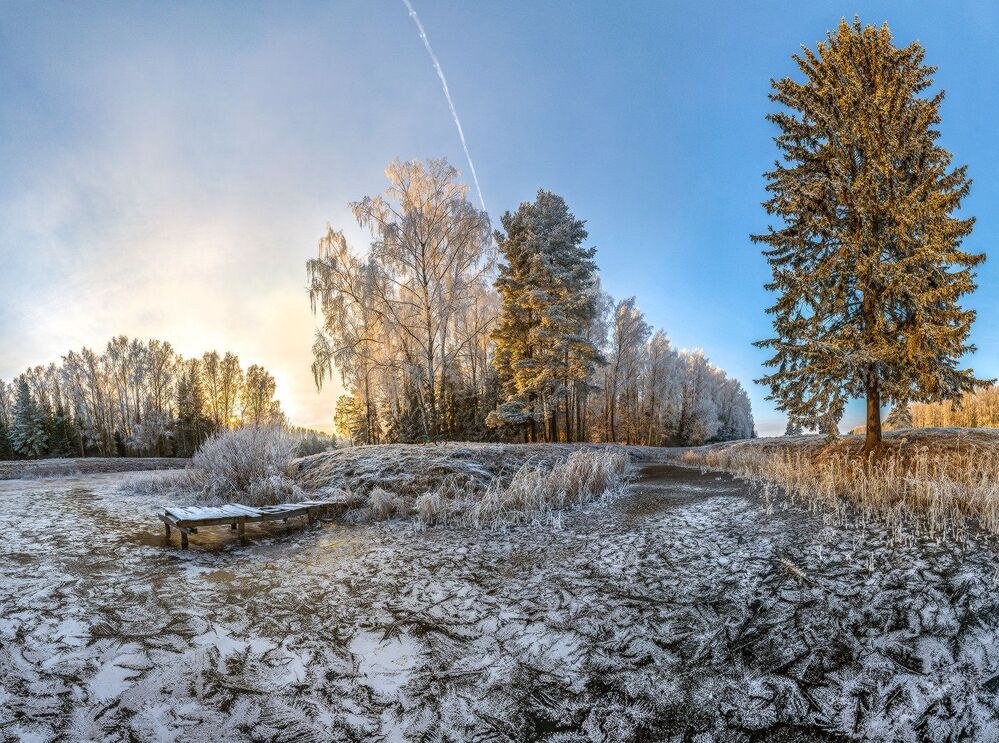 Иней в парке Павловск