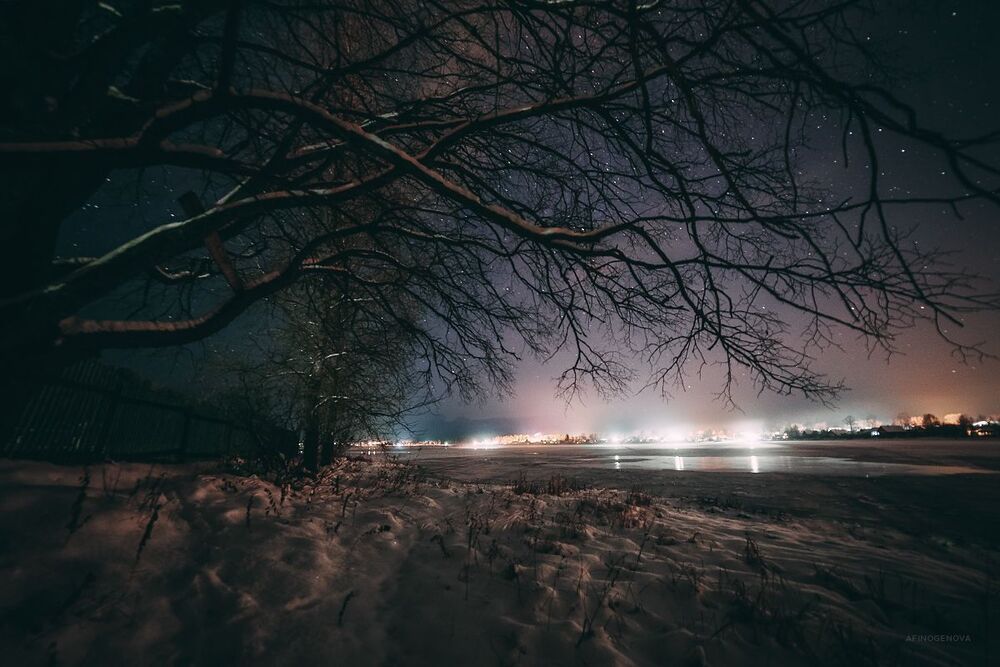 Пеновские ночи