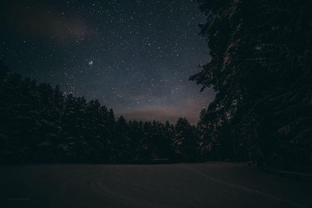 Пеновские ночи