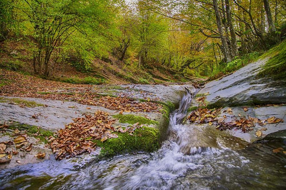 Осень