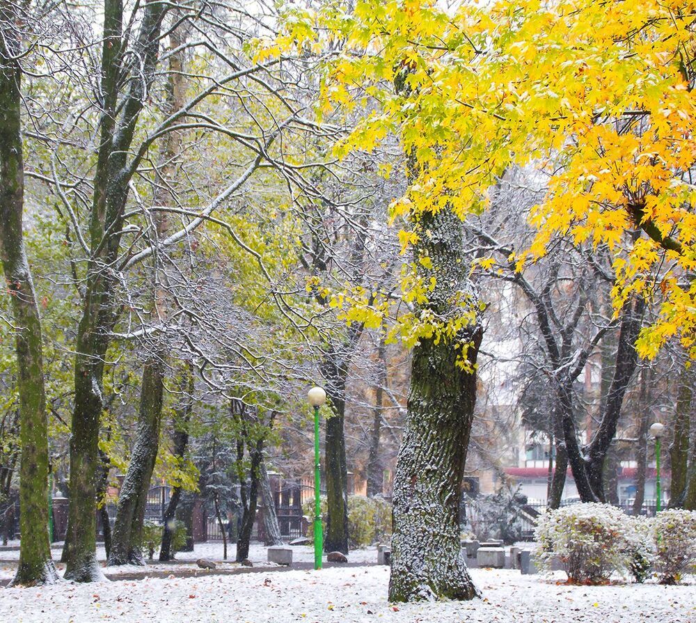 Когда осень встречается с зимой.