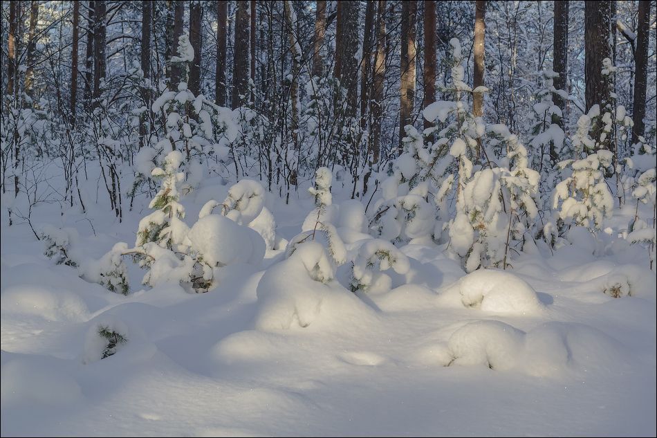 Зимние картинки)