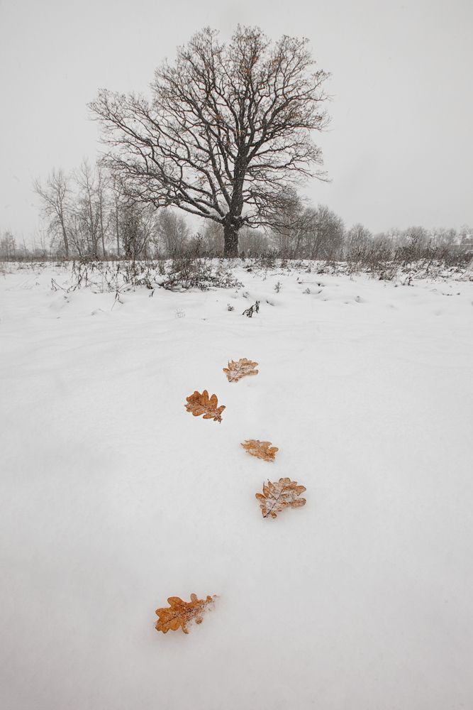 осень-зима