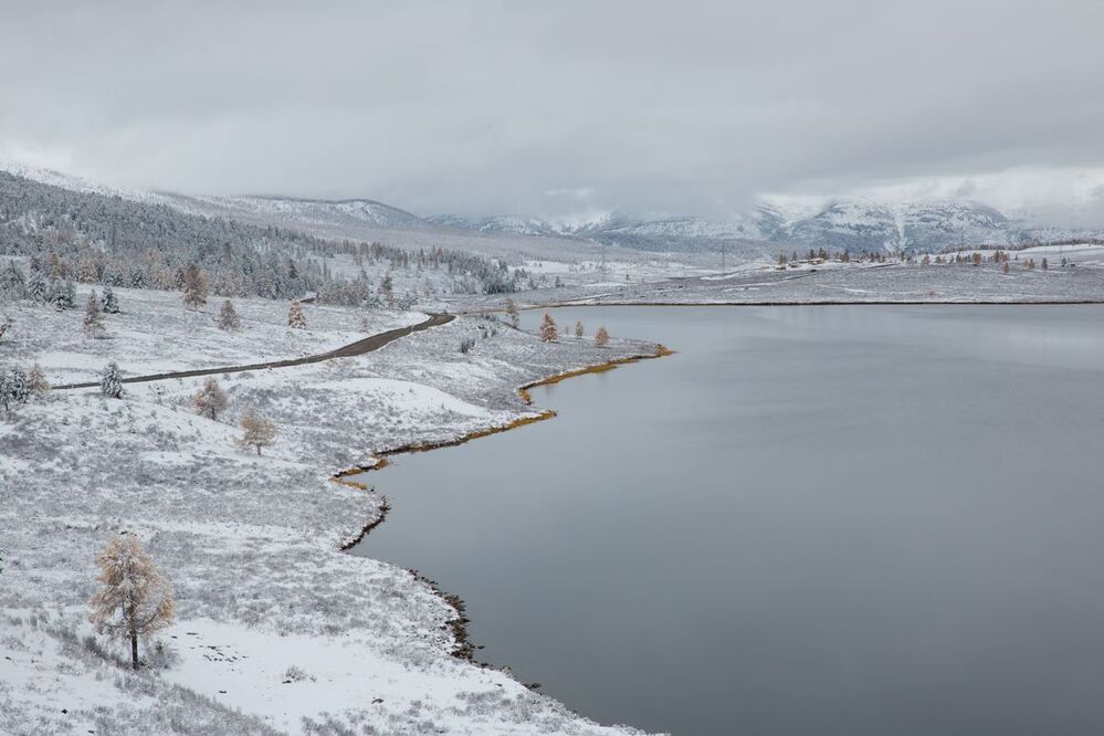 осенняя капитуляция
