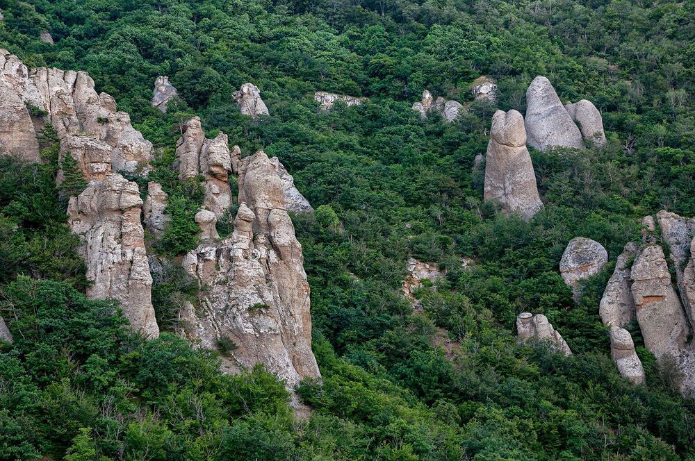 Банальная прогулка по Демерджи.