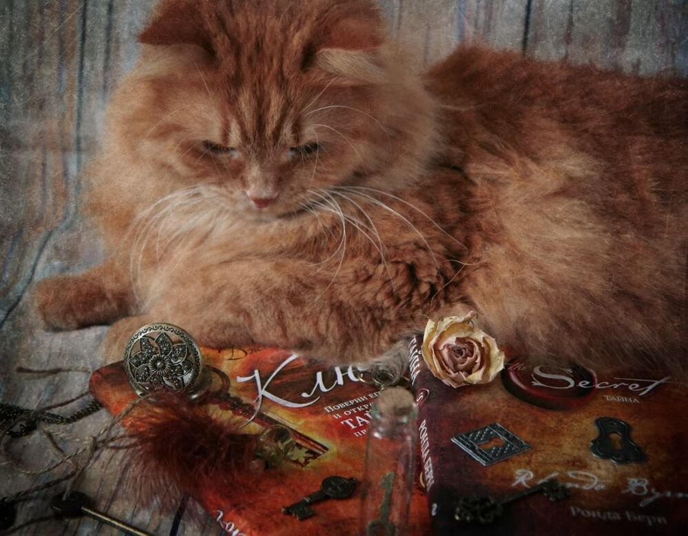 Ключ с секретом