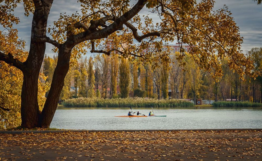 Хроники ноября.