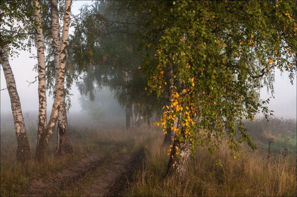Бывало в сентябре ...
