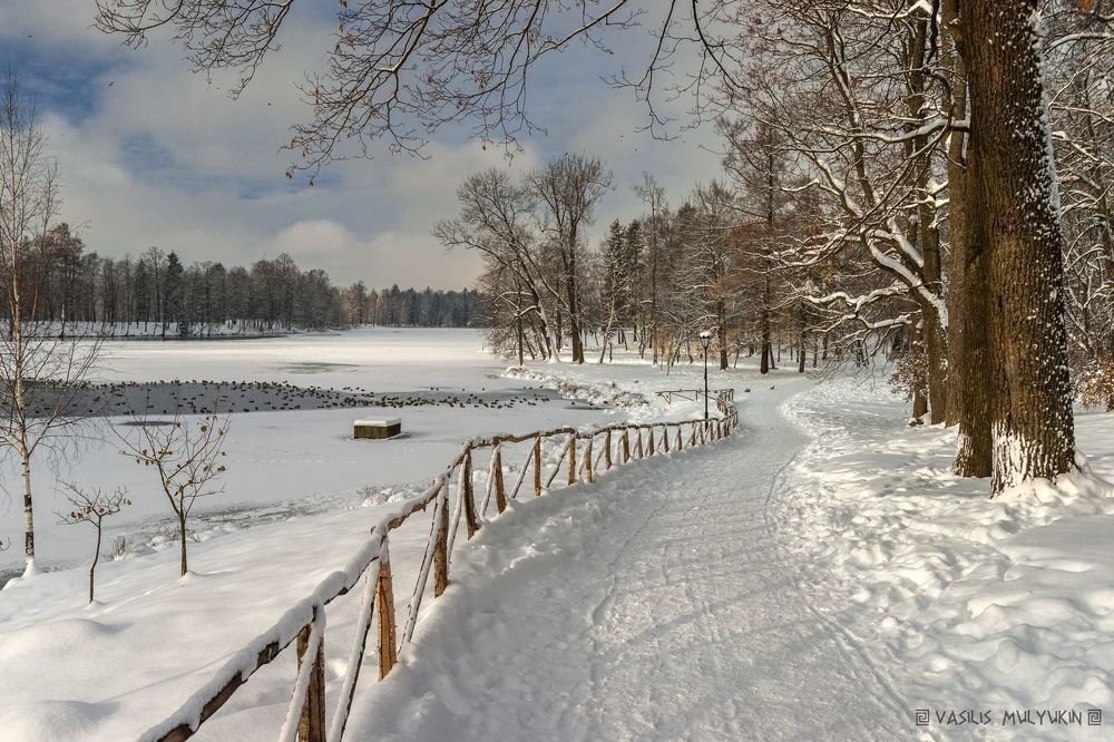 В Гатчинском парке