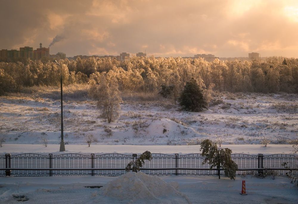 Луч солнца золотого.