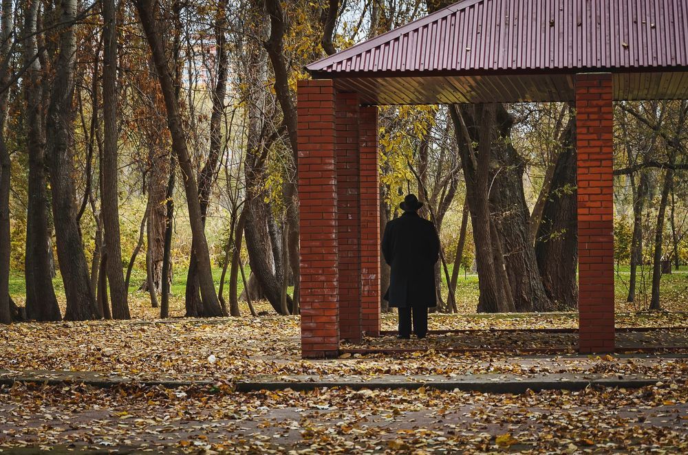ХРОНИКИ НОЯБРЯ II.