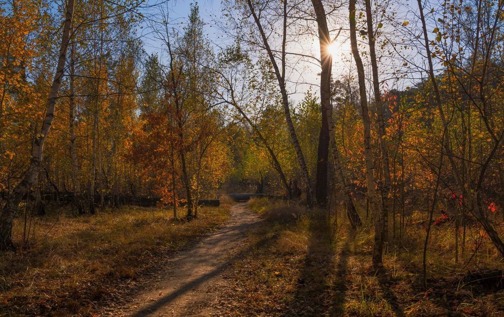 Там день и ночь кружится желтый лист