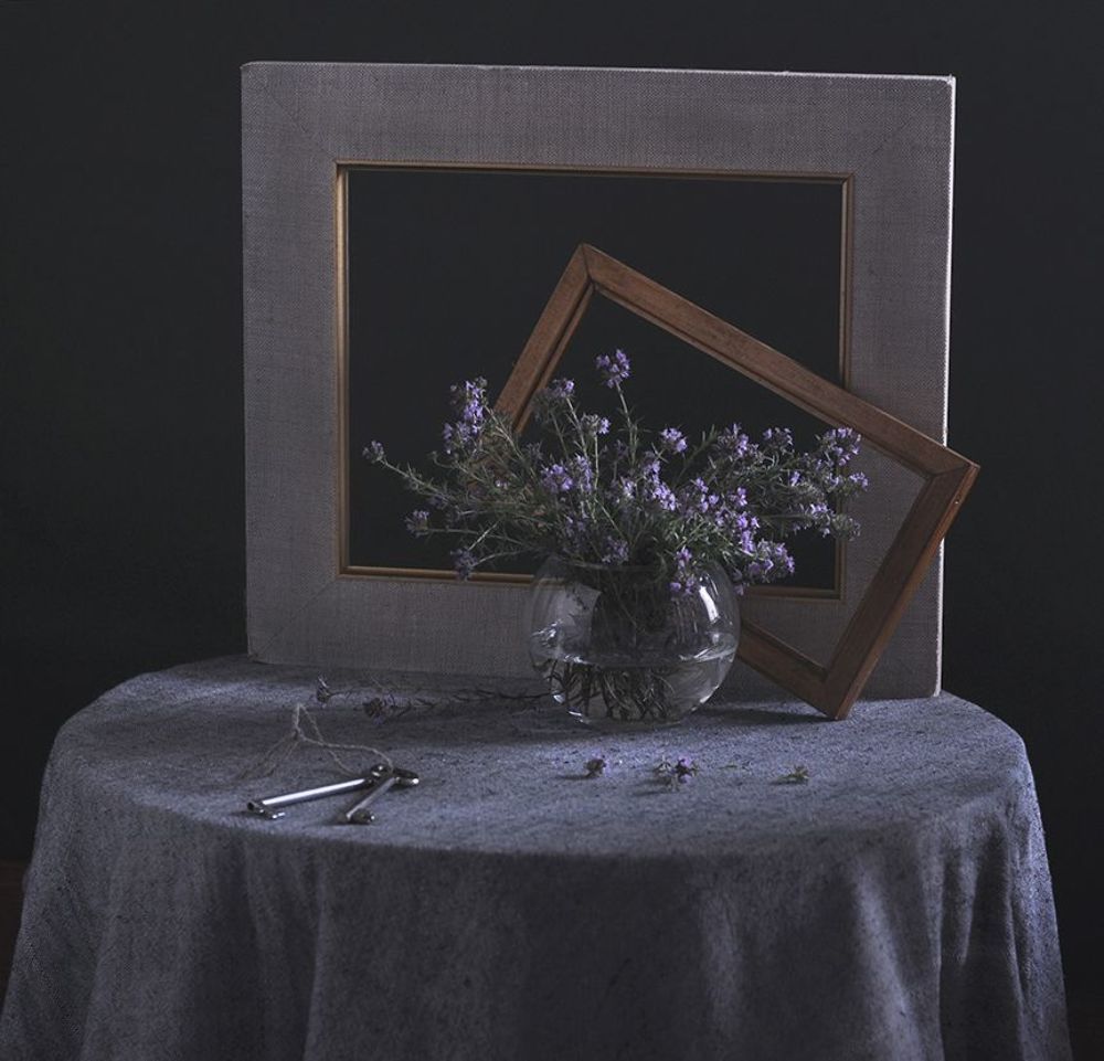 Photo 1007942