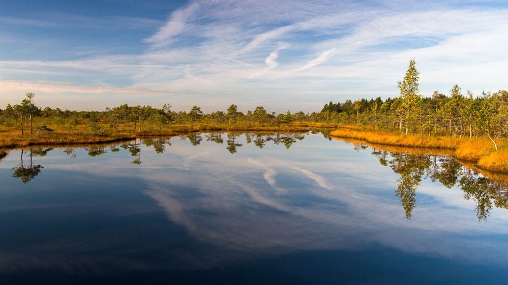 Kemeri swamp
