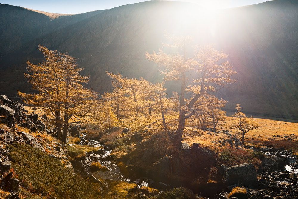 Осень в ущелье Кокузек.