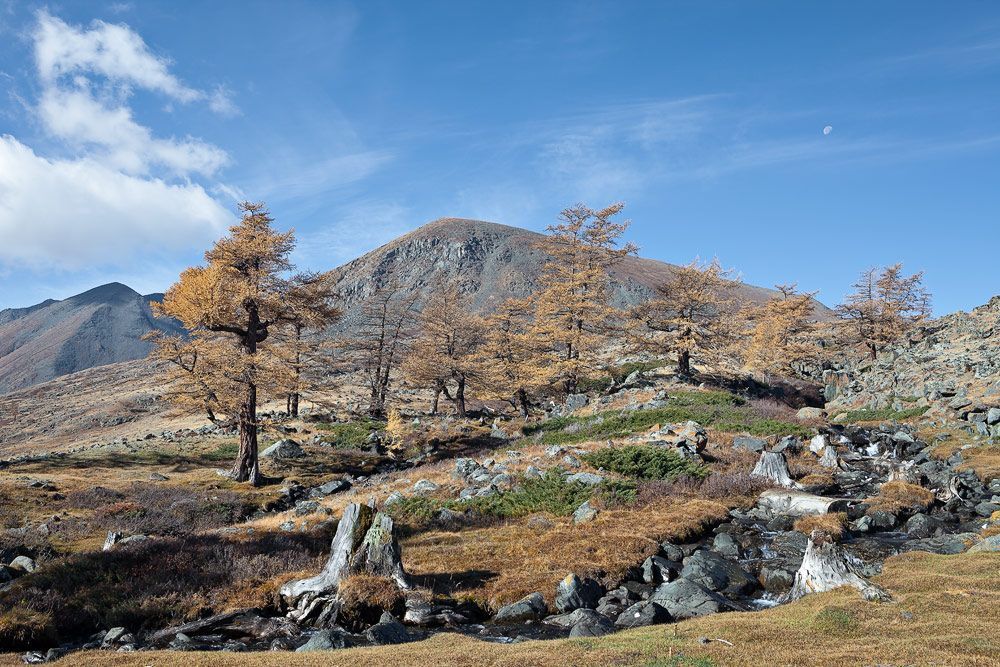 Осень в ущелье Кокузек.