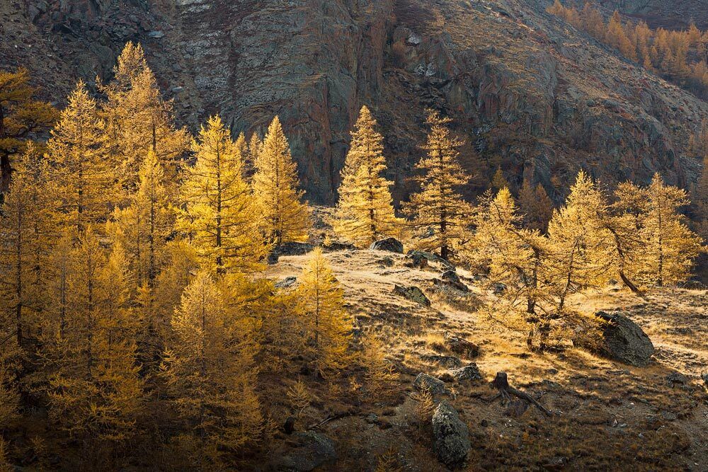 Осень в ущелье Кокузек.