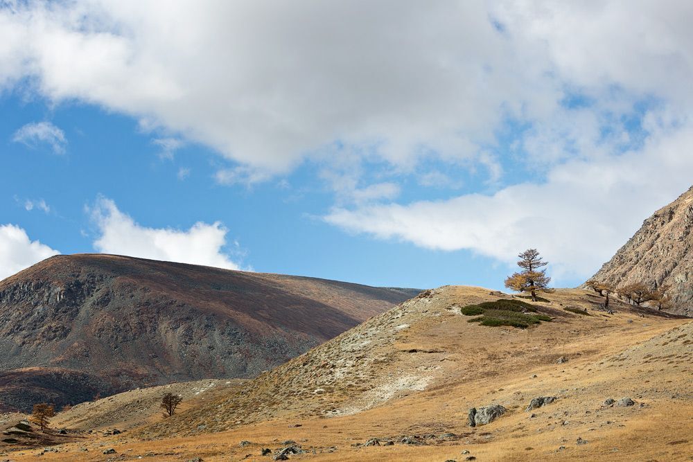 Осень в ущелье Кокузек.