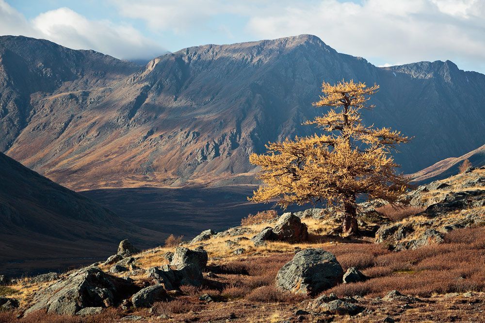 Осень в ущелье Кокузек.