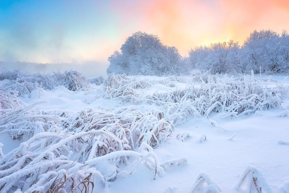 Морозное утро