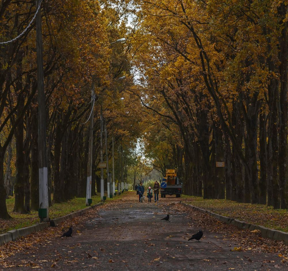 ХРОНИКИ НОЯБРЯ III.