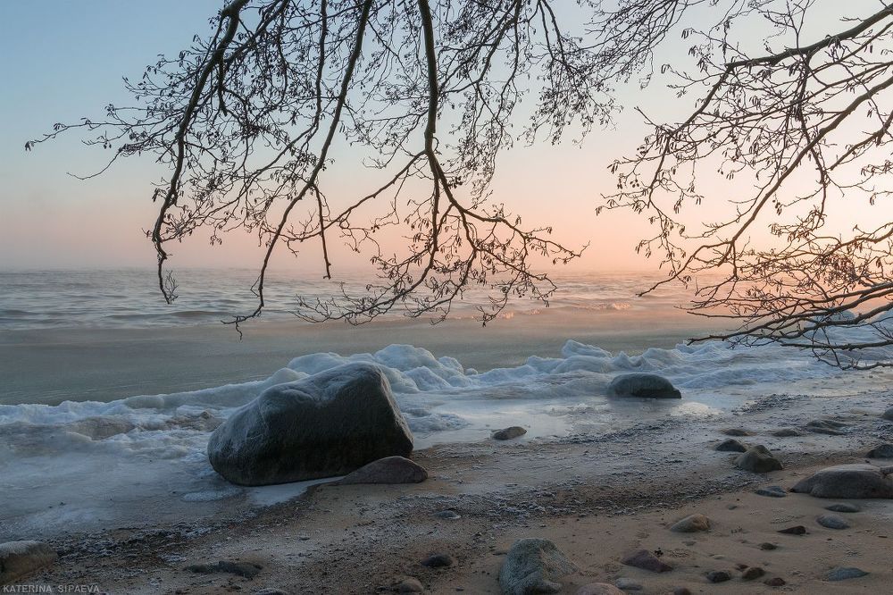Зима у моря. Балтийское море, январь 2016