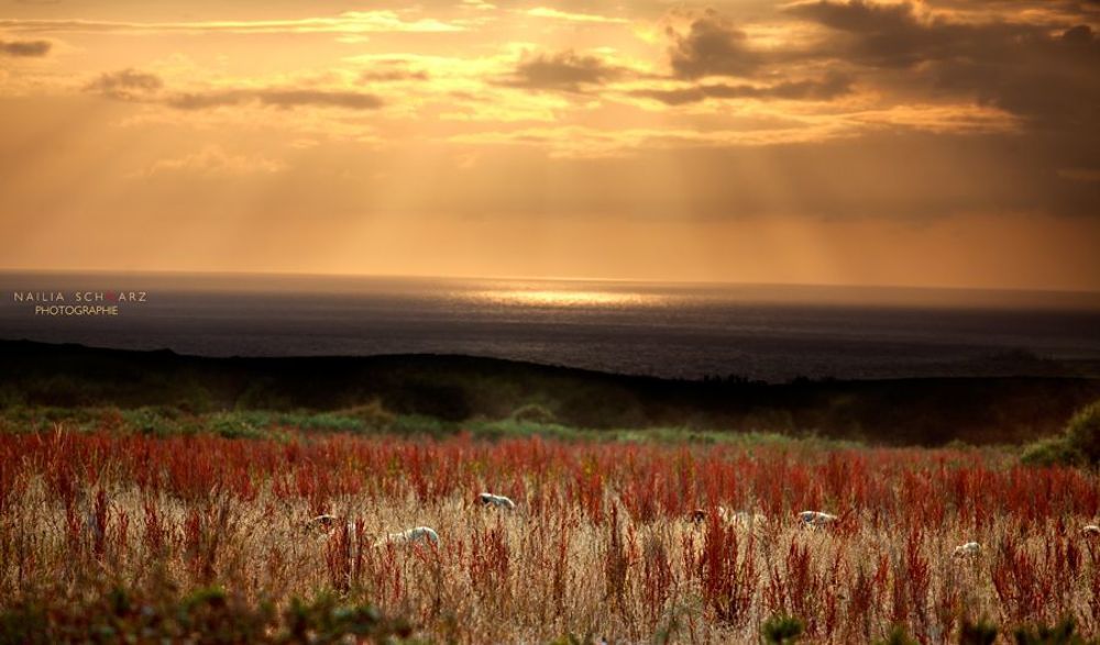 Bretagne, France