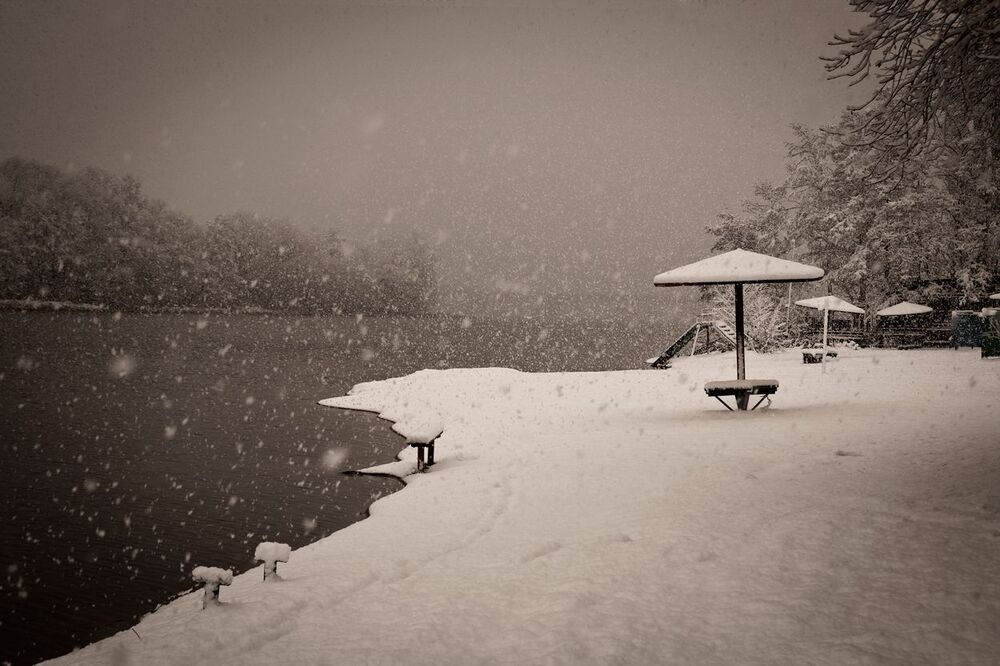 Photo 1010875