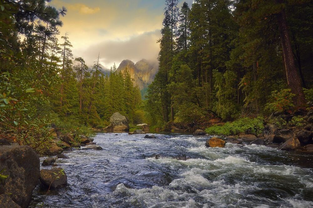 Wild and beautiful