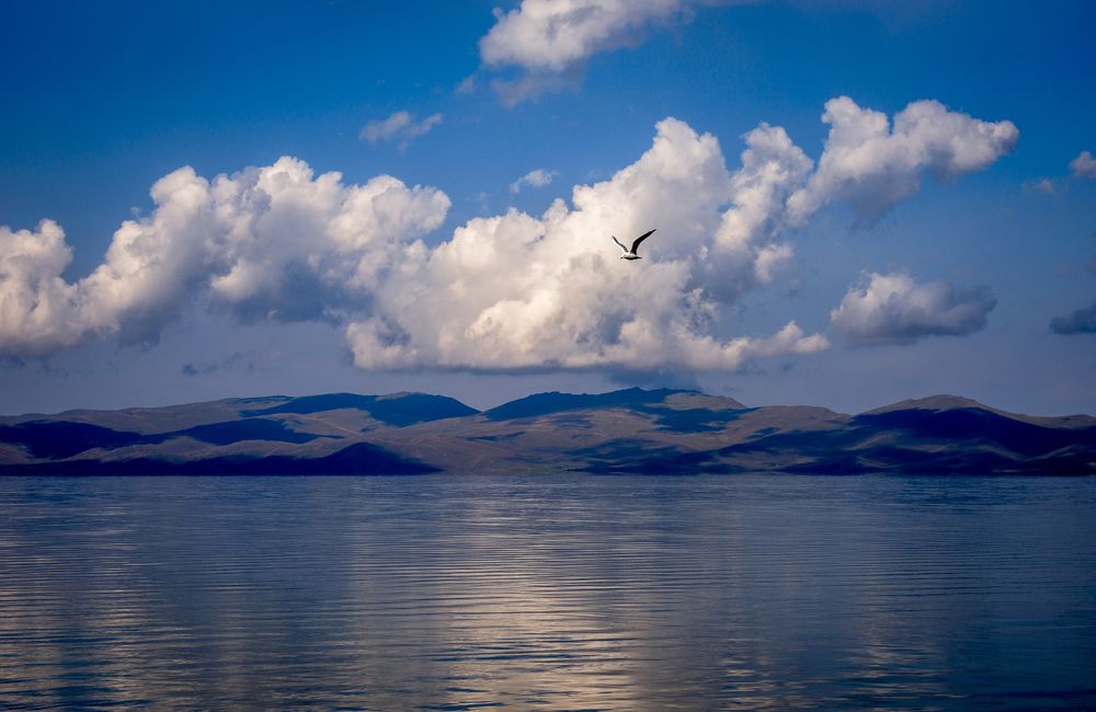 Сонкёль