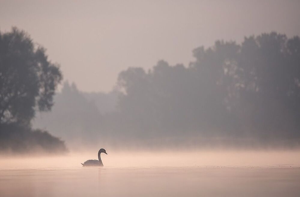 История любви