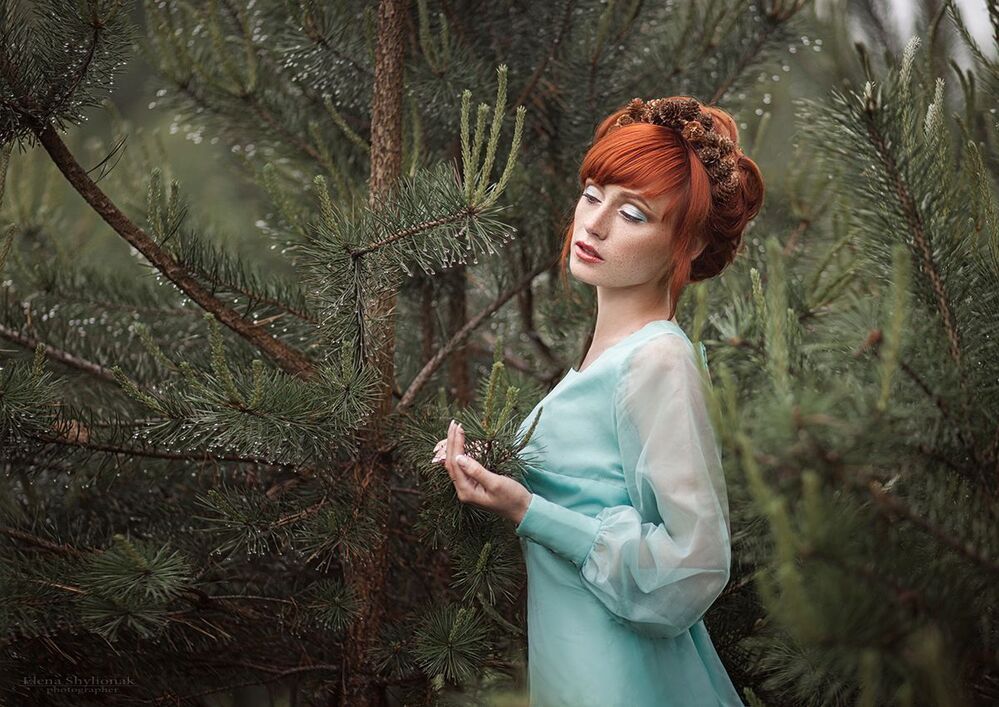 Spruce