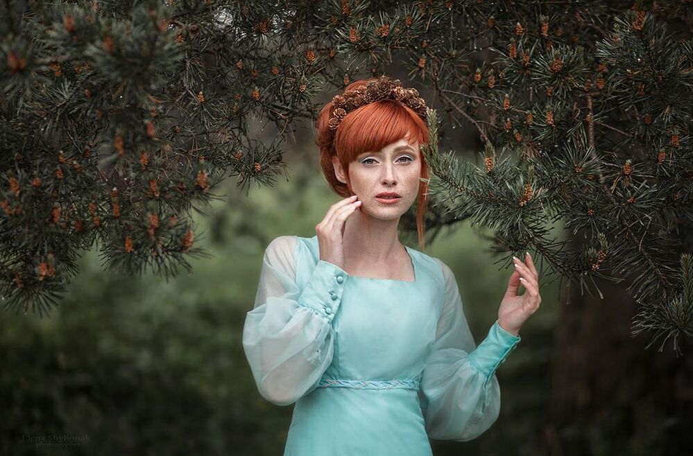 Spruce