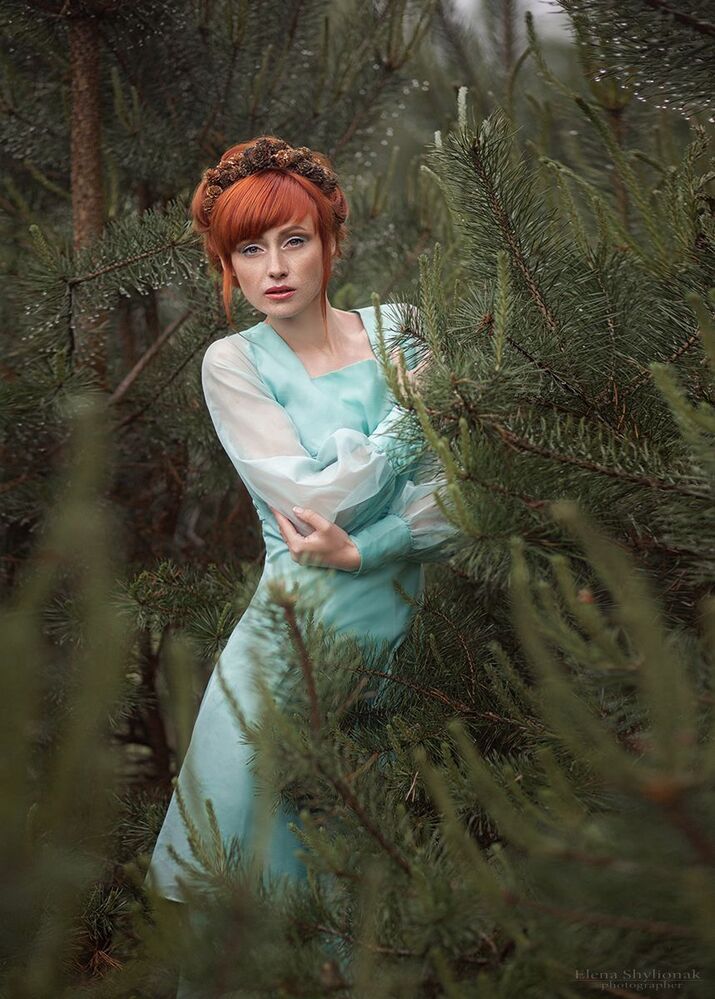 Spruce