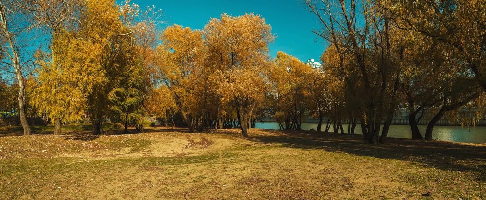 Кубанский ноябрь.