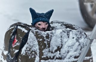 Зимний танкист...)) Ситуацию контролировать нужно в любую погоду...