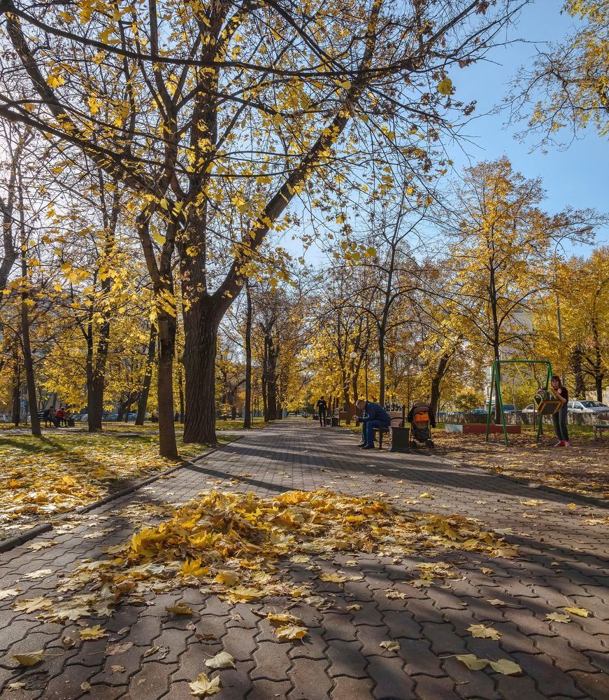 Кубанский ноябрь.