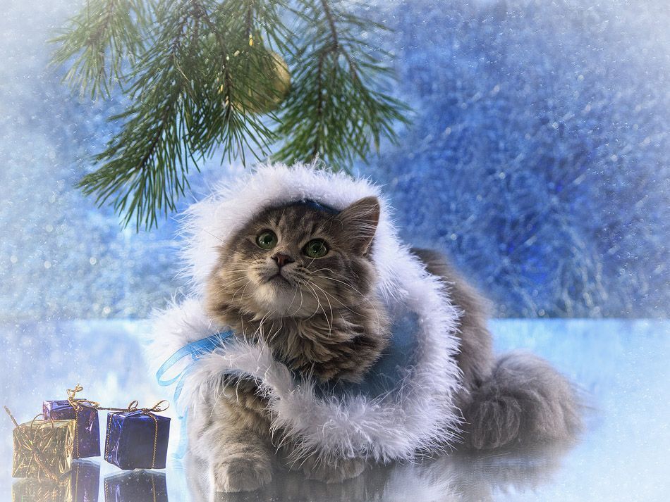 Снегурочка