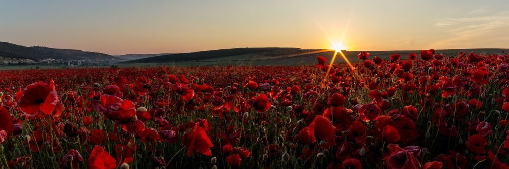 КРЫМСКИЙ КАЛЕНДАРЬ - 2