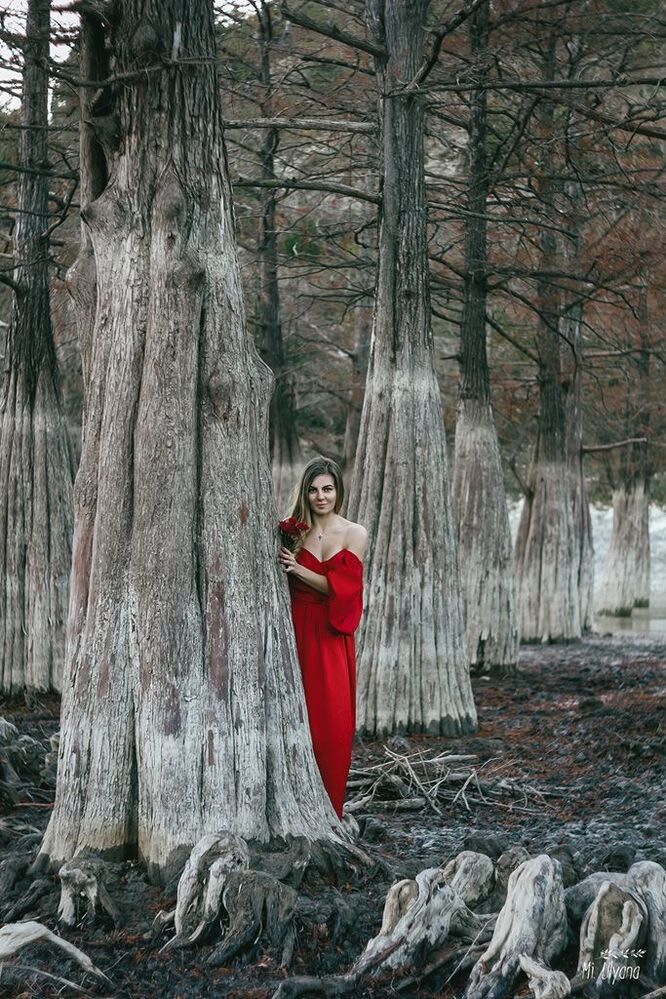 Ксения