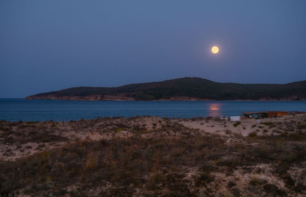 Full Moon
