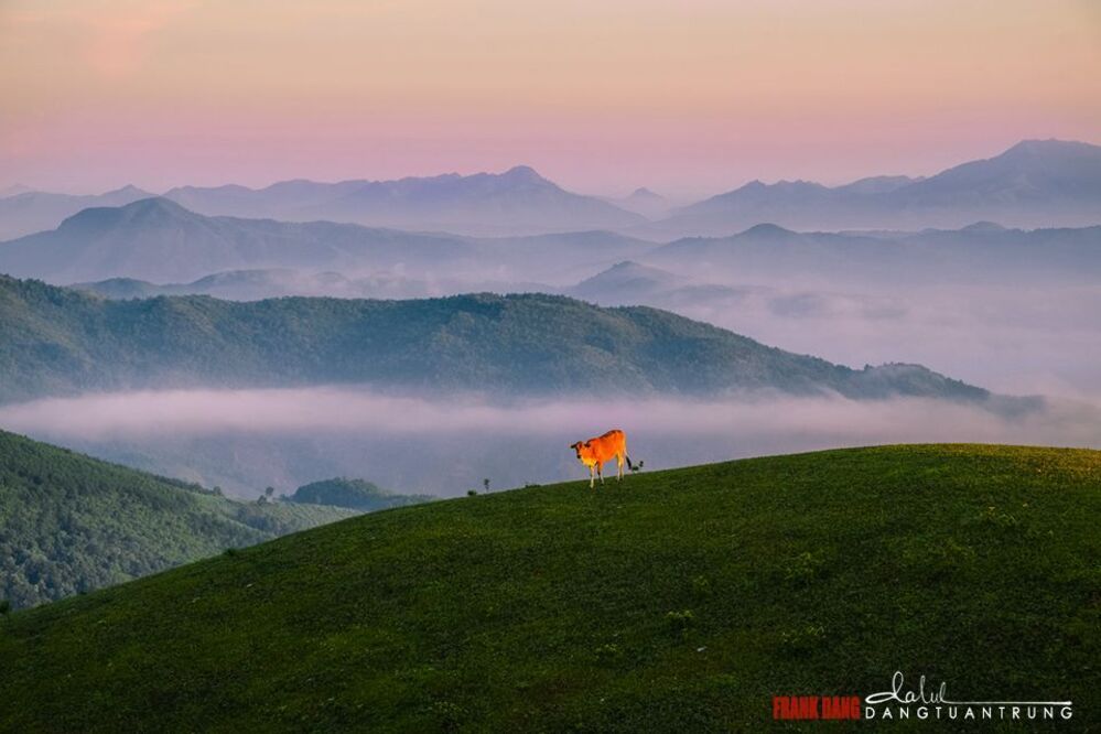 Dong Cao highland