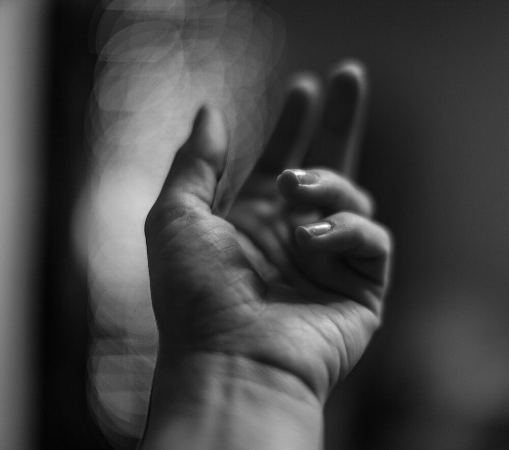 Photo 1017915