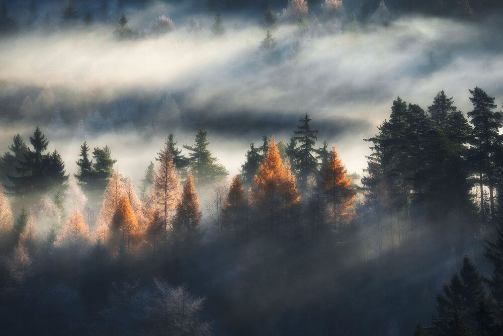 Cold and Warm