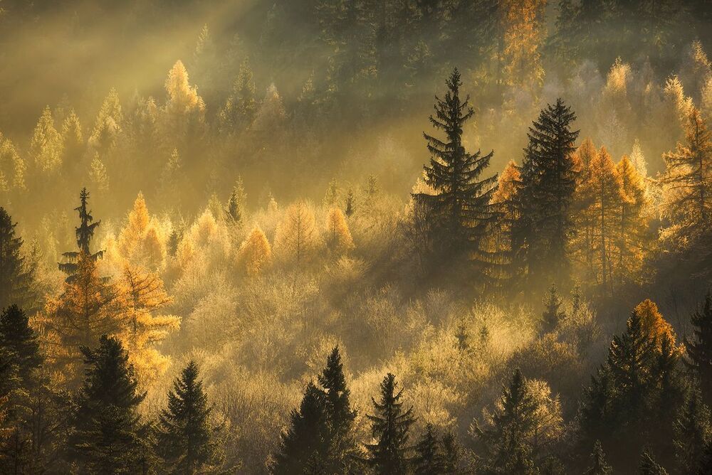 Cold and Warm