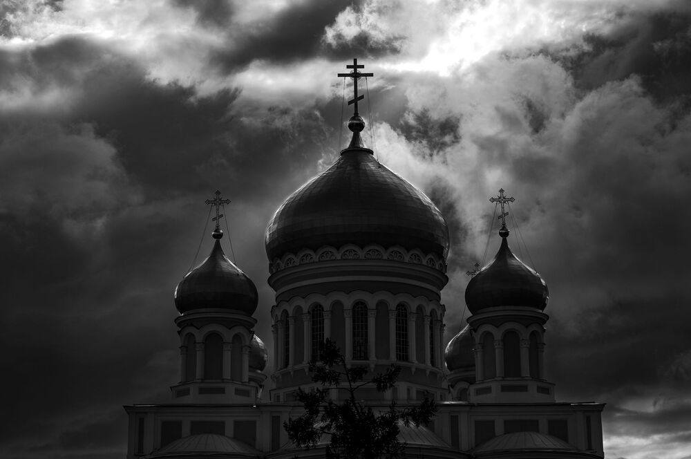 Портфолио