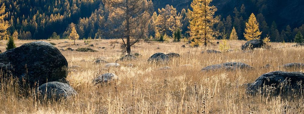 05 Передний план степи во многих местах украшают крупные валуны, наполовину вросшие в землю