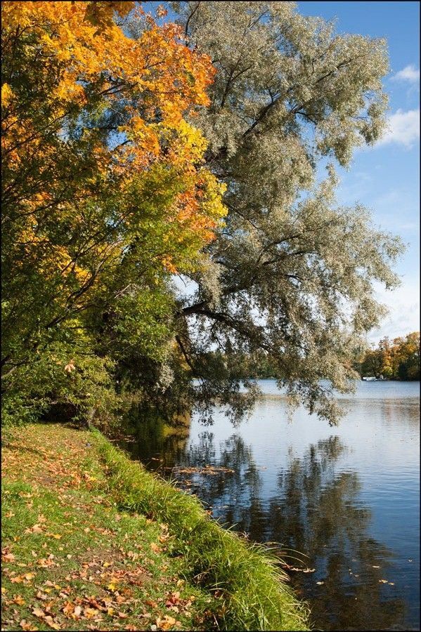 Осенние парки.