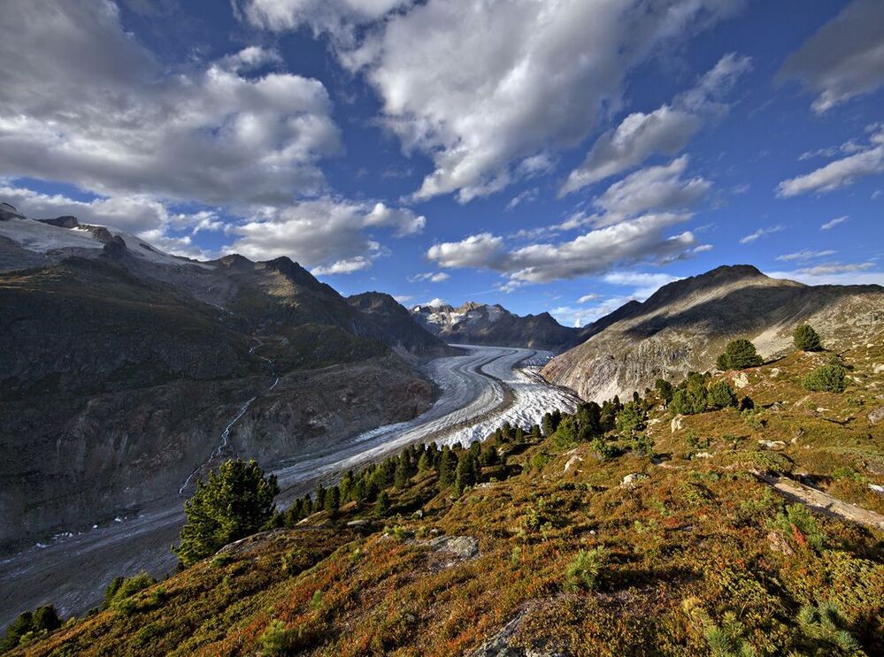 Grosser Aletschgletscher